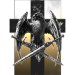 The Amarr crusader fleet