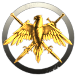Storm Riders of Gallente