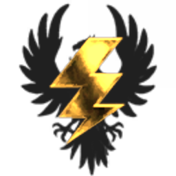 Flash International