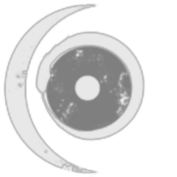 Dust514 Corporation 98323492