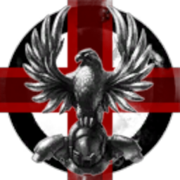 Dust514 Corporation 98326829