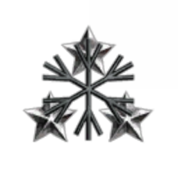 RapidDev Inc