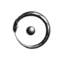 Zolo In Utero