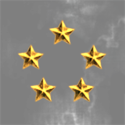Corporate Security Forces