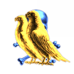 Dust514 Corporation 98346363