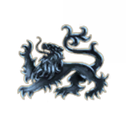 HC - Dragon's Fire