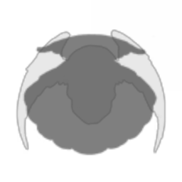 Dust514 Corporation 98352141