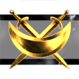 Amarr Combat Ship Provisions