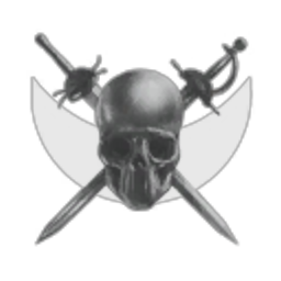 Brotherhood Of Amarr Warriors