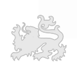 Sin Inc