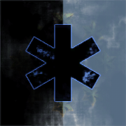 EVE Corporation 20101611