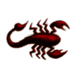 scorpion sp.