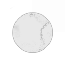 BALL Corporation