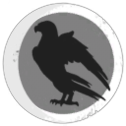 Accipiter Corporation