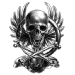 Radical Darkstar Industries