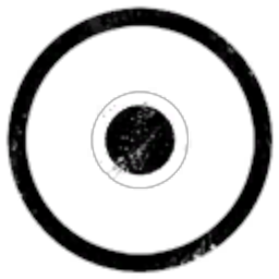 Black Holes