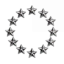 Stars in a Circle