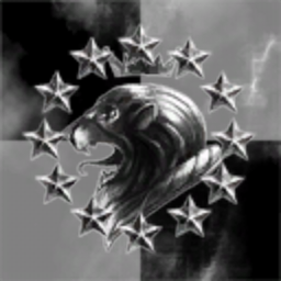 Caldari Navy's Central Military