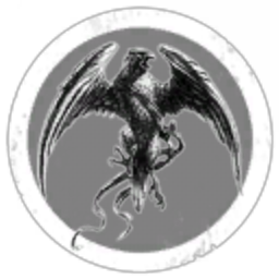 Bird in the dark sky