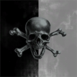 RAIDERS2