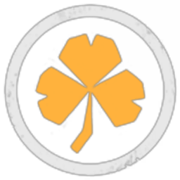 Irish Travellers Inc.