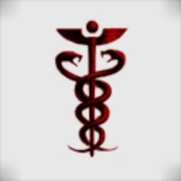 1st MedMech Support Unit