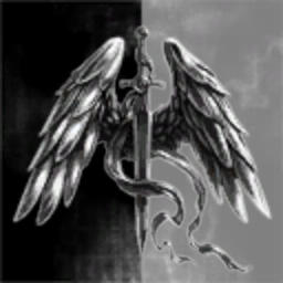 ESPIRT DE CORPS