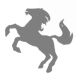 toe stopper