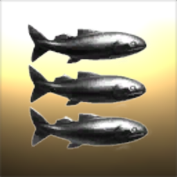 Acipenser stellatus