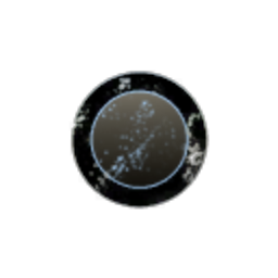 Grey Moon Research Labs