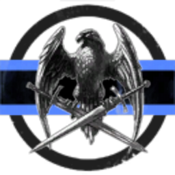 Silver Valkyrie Enterprises