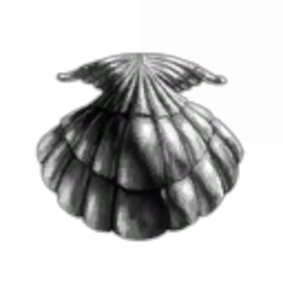 pluha corp