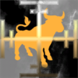 Skeed Aimed Bull Ltd.