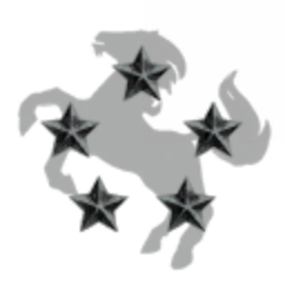 Instellar Mustangs