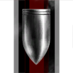 8th Wing Tactical Squadron