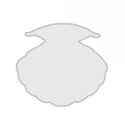 Binji Shell Corporation