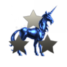 BLUE PONY INC