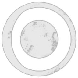 Palantir Ventures