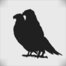 Lonely Pigeons