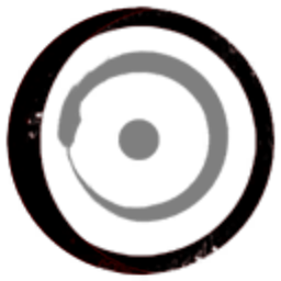 Singularity Dynamics