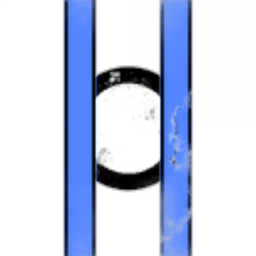 State Naval Volunteer Guards