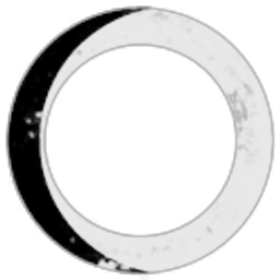 Darkmoon Intelligence