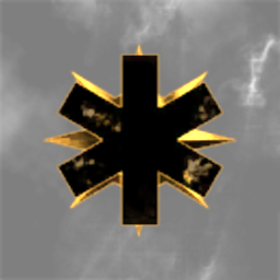 ICON 1