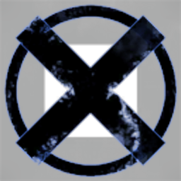 X.X.X