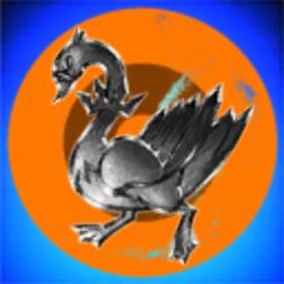 RoadRunner Inc.