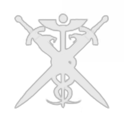 CODE civilian patrol