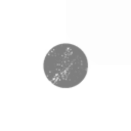 BlackHole Inc.