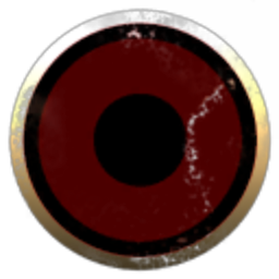 Ace D Corp