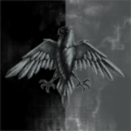 Raven BV