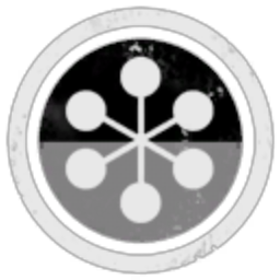 Ginoz Corp